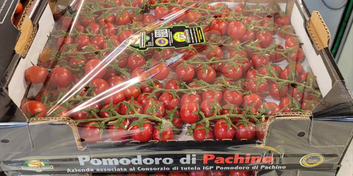 Pomodoro di Pachino - Sicilia - 2,50/2,70 euro al chilogrammo